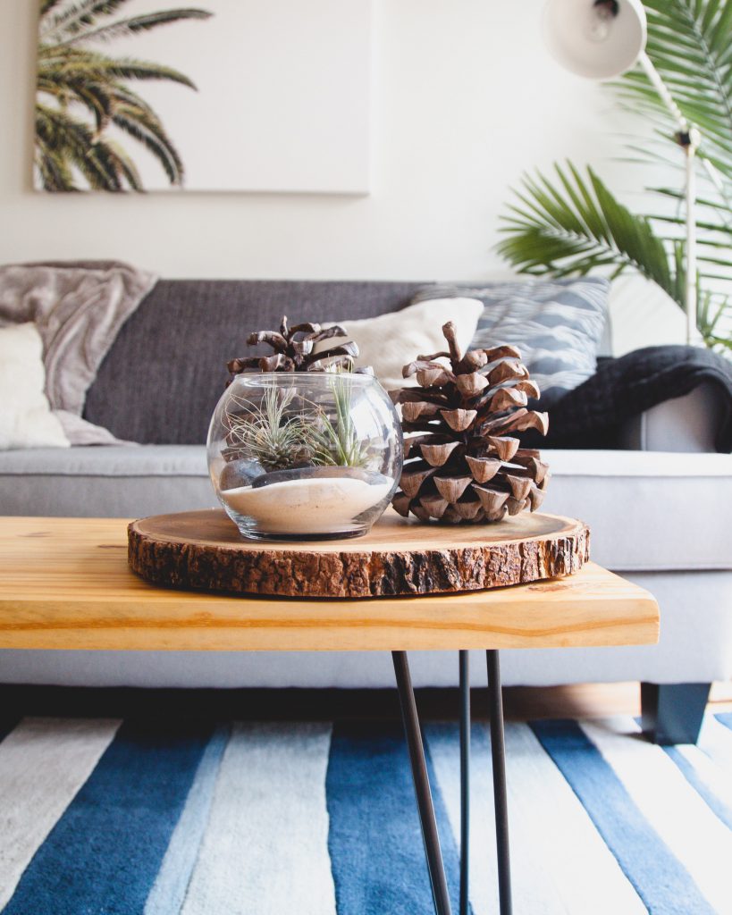Include Plant Decor as part of your Home Decor.