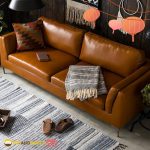 272818692_261797132608926_2583139853375301956_n